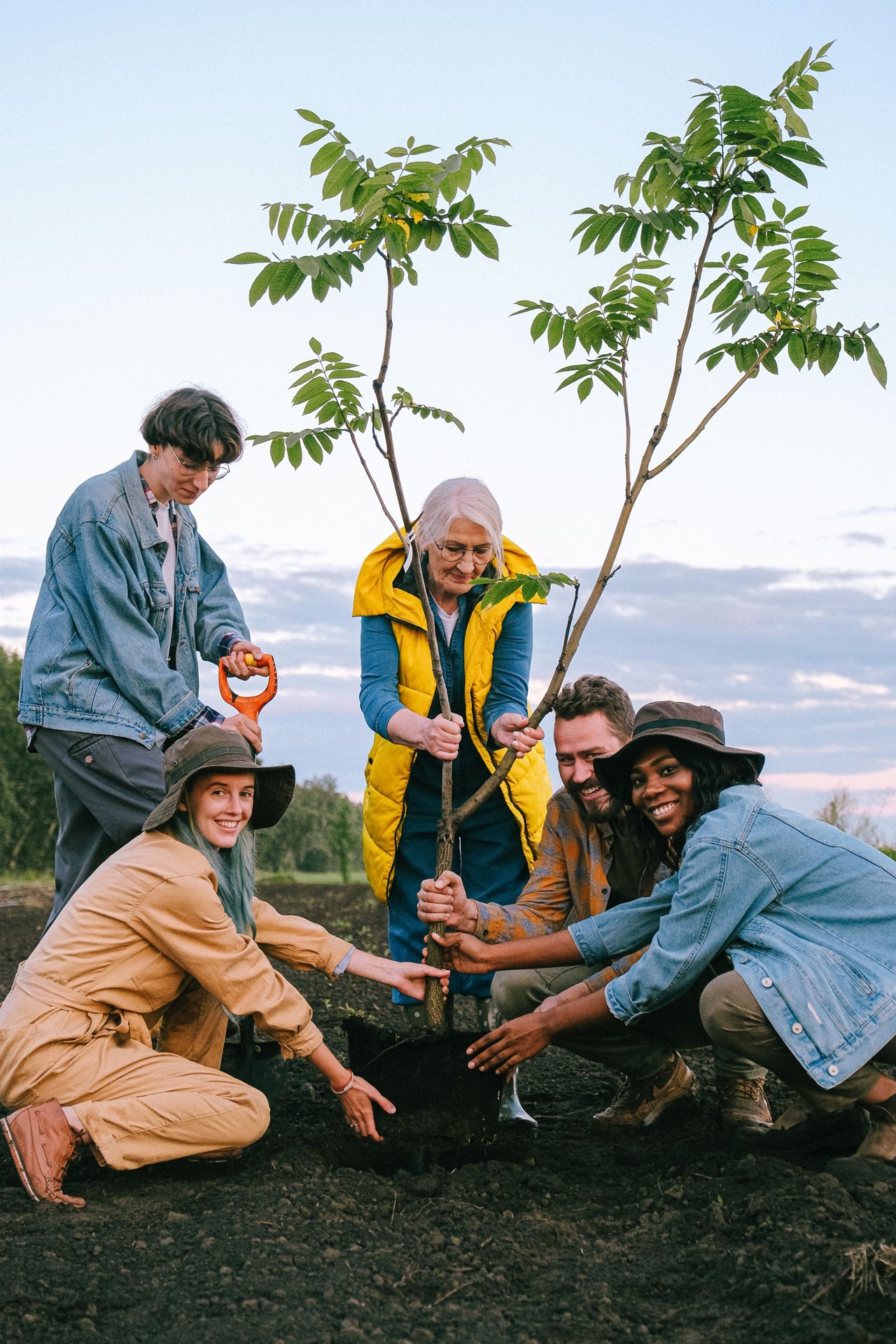 Volunteers planting a tree together