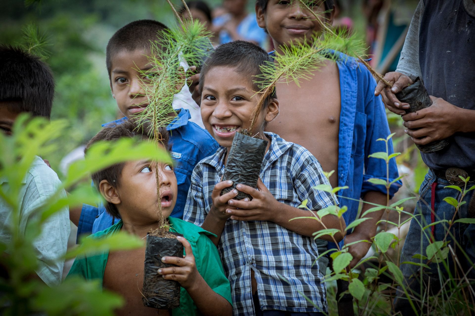 Children holding seedlings for an environmental project